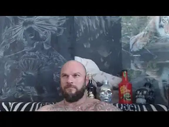 viking_30