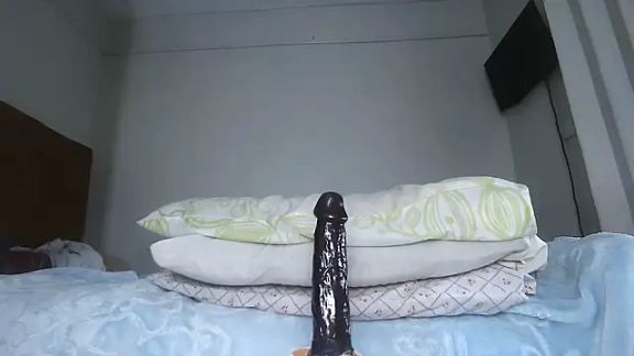 shoshortyy