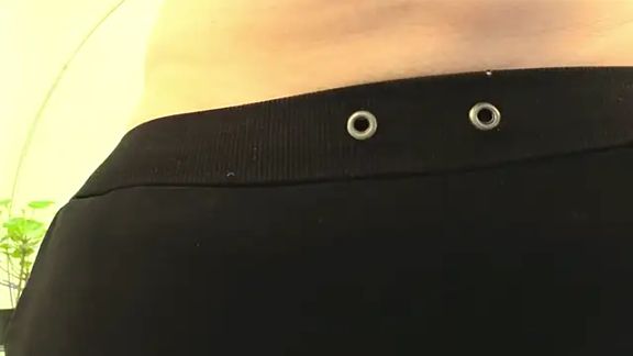 BattyMoll