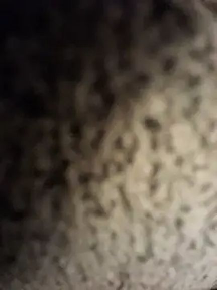 Titjober
