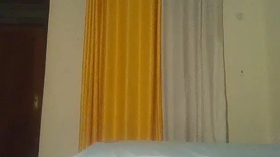 Fine_assie