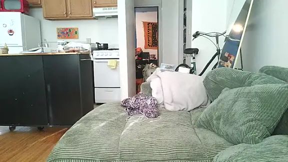 SiminFox