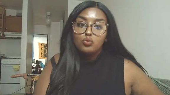 SiminFox