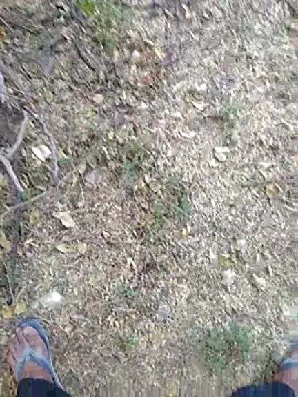 Desiboystripchat