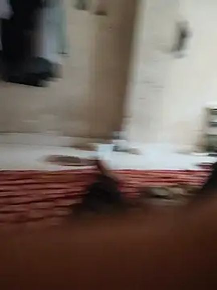 nikshows