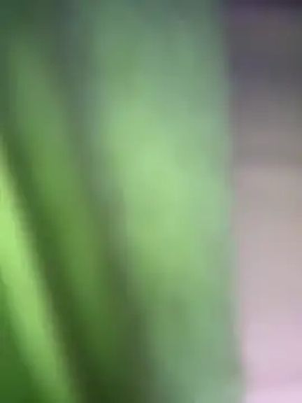 bambi_lu