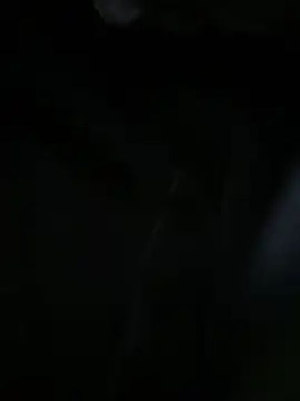 bambi_lu
