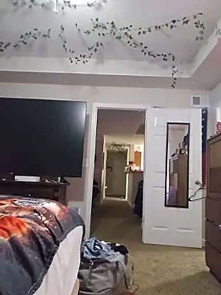 Dixiefaye_