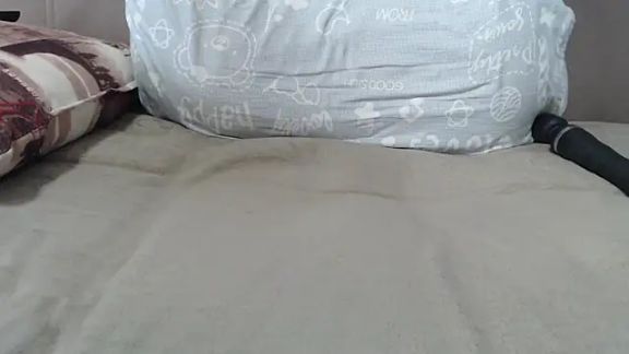 lelapopins