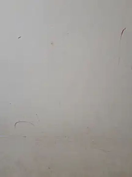 Teri_lella