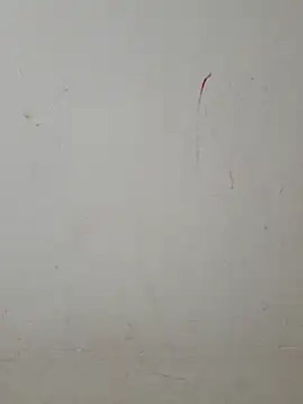 Teri_lella
