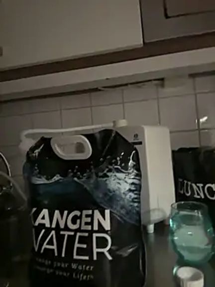 SwingWingWomanSweden