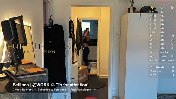 SwingWingWomanSweden