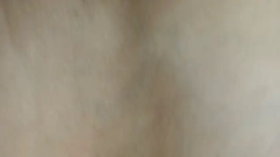 Miaxfox