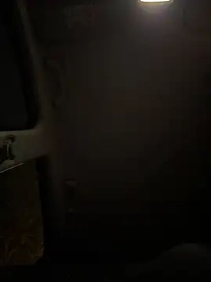 DoriDeluxe66
