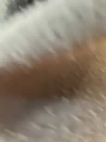 Lami_Mi