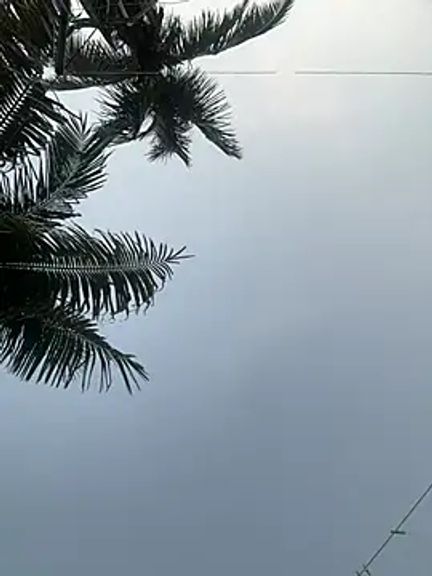Ishikaranaa