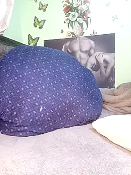 TerryAssqueen254