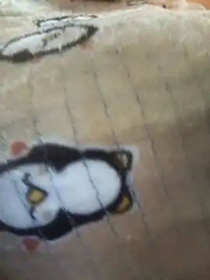 Dassing_strip_couple