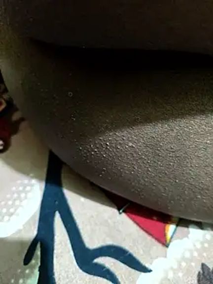 Dassing_strip_couple