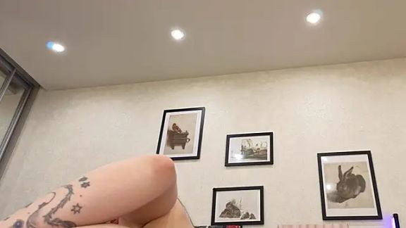 dolly_ll