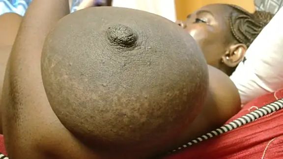 titi_fiesta