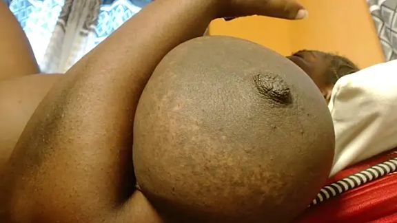titi_fiesta