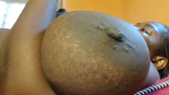 titi_fiesta