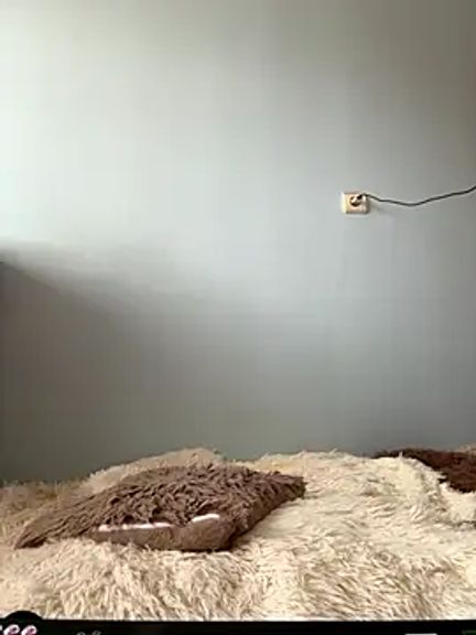 AlisaDoll444