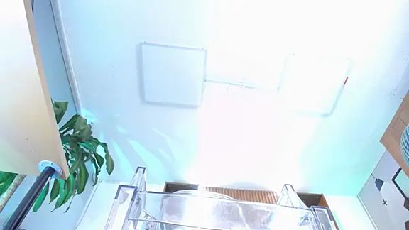 colete_milf