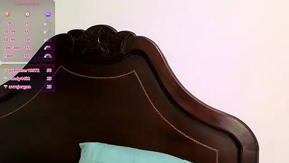 Ari_20_