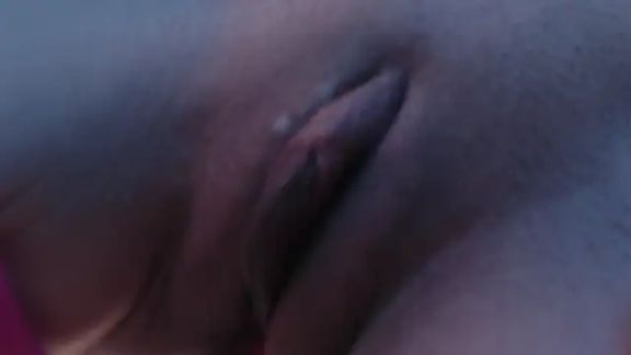 Q_T_pie