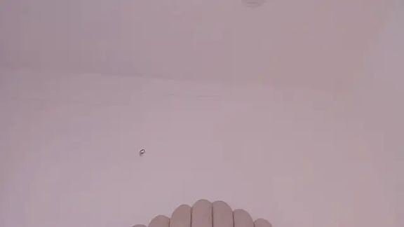 valerysantos_