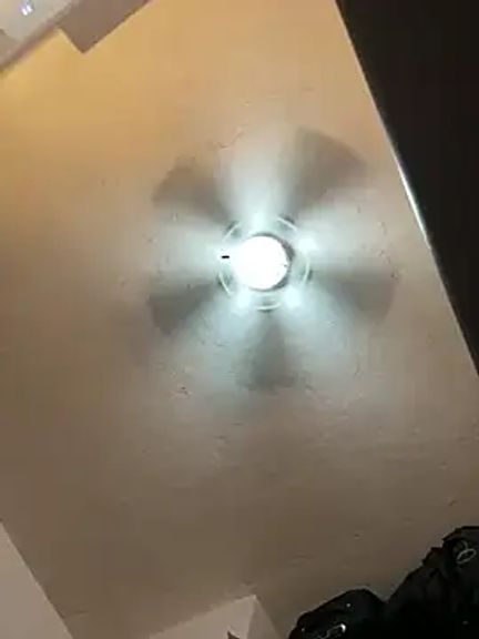 Xochitl_Namuu