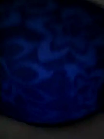 Brenda_Berck_