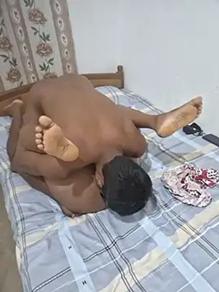 Himaayaa