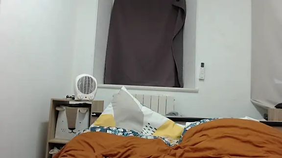 desirmiss1