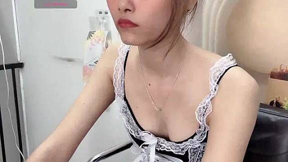 Truclynk1702