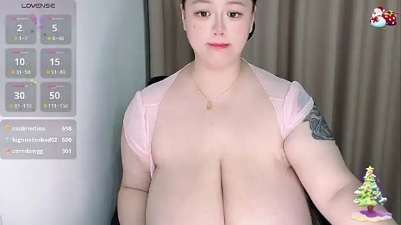 Hcup_Zhizhi