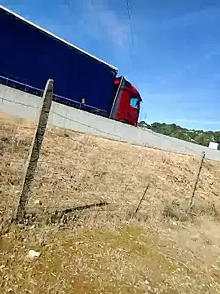 caro252
