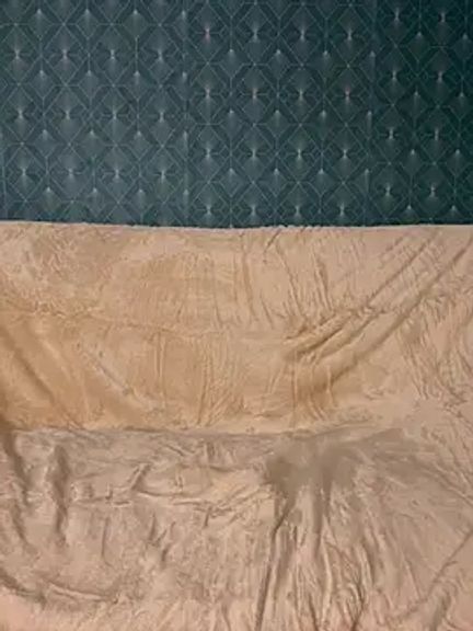 Daisy_Michto_Officiel