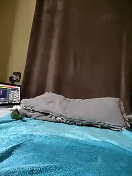 Blacksexkatt