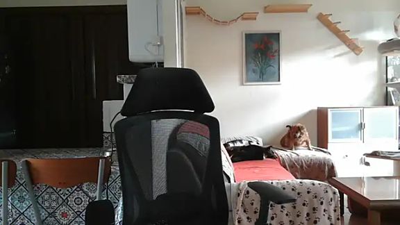 simona60