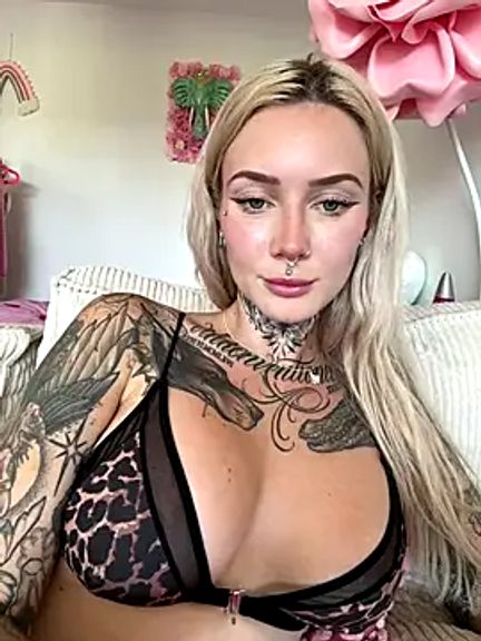 Stella-Kink