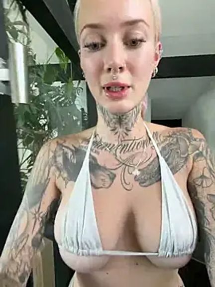 Stella-Kink