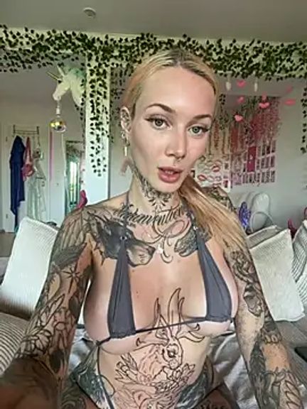 Stella-Kink