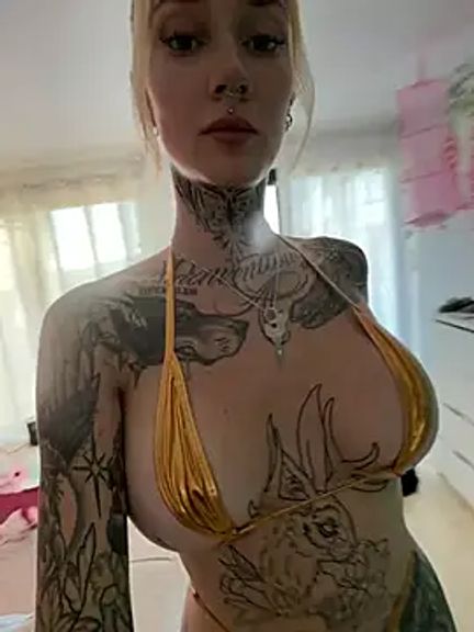 Stella-Kink