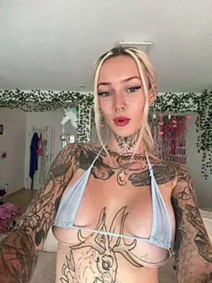 Stella-Kink