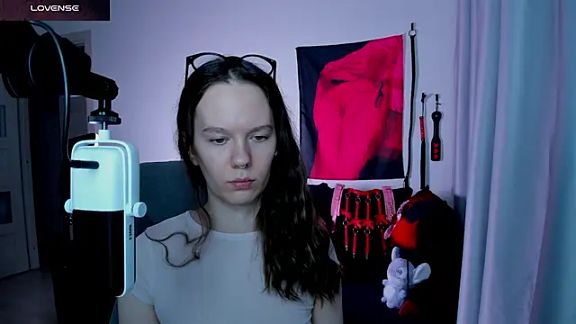 Vulgar_Tamer