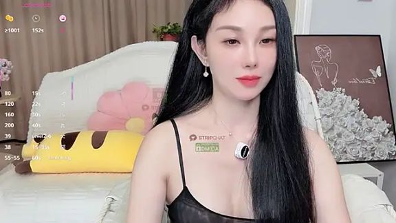 Xiatian520_
